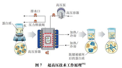 食品科学 非热加工专栏 江苏大学邹小波 石吉勇教授等 米糠非热稳定化处理技术研究进展