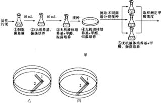 甲醛是一种来源广泛的挥发性有机污染物,具有强烈的致癌和促癌作用,利用微生物降解甲醛来治理甲醛污染,